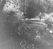 1964 view of licton springs wetlands